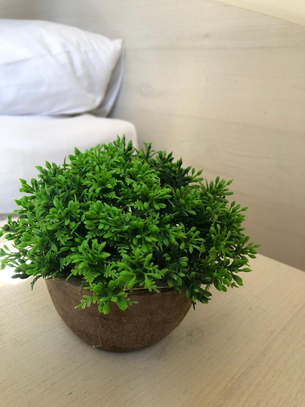 Complex Pika Hotel โกลเดน แซนส์ ภายนอก รูปภาพ